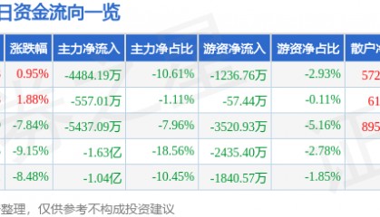 股票行情快报:西藏旅游(600749)9月11日主力资金净卖出4484.19万元
