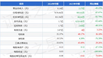 美邦服饰(002269)2025年中报简析:净利润同比下降87.07%