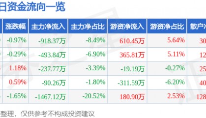 股票行情快报:氯碱化工(600618)8月13日主力资金净卖出918.37万元