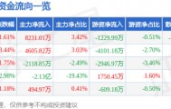 股票行情快报:汉得信息(300170)8月19日主力资金净买入8231.01万元