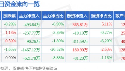 股票行情快报:氯碱化工(600618)8月12日主力资金净卖出493.84万元