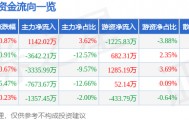 股票行情快报：汉王科技（002362）8月13日主力资金净买入1142.02万元