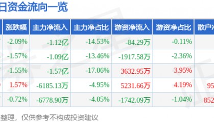 股票行情快报:大洋电机(002249)9月2日主力资金净卖出1.12亿元