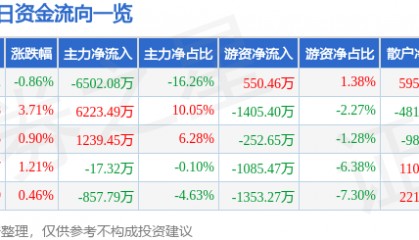 股票行情快报:大洋电机(002249)8月7日主力资金净卖出6502.08万元