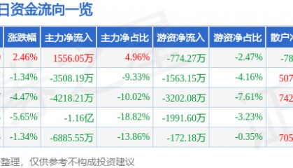 股票行情快报:中京电子(002579)9月5日主力资金净买入1556.05万元