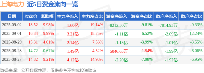上海电力（600021）9月2日主力资金净买入1.60亿元