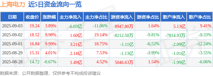 上海电力（600021）9月3日主力资金净卖出6.03亿元