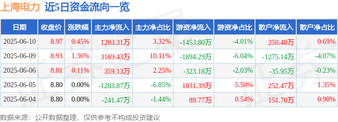 股票行情快报：上海电力（600021）6月10日主力资金净买入1203.31万元