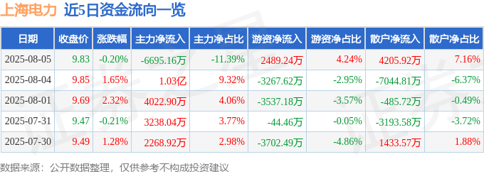 股票行情快报：上海电力（600021）8月5日主力资金净卖出6695.16万元