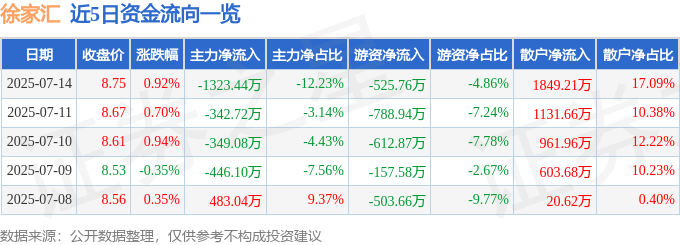 股票行情快报：徐家汇（002561）7月14日主力资金净卖出1323.44万元