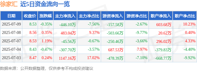 股票行情快报：徐家汇（002561）7月9日主力资金净卖出446.10万元
